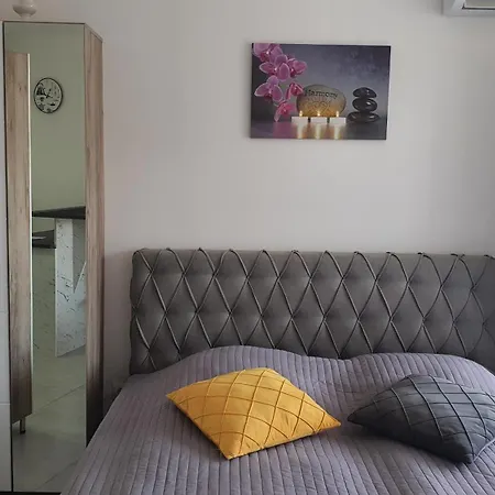 Aida Veliko Gradiste